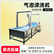 全自动叶类蔬菜清洗机根茎类气泡清洗机大型多功能水果清洗机