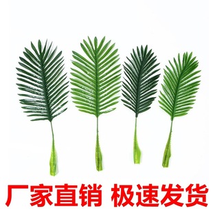 ��Ҭ��Ҭ��������~����ģ��������ϵ����bᎧ�L��ķ���Gֲ