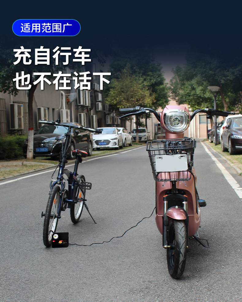 113电动车充气泵_09
