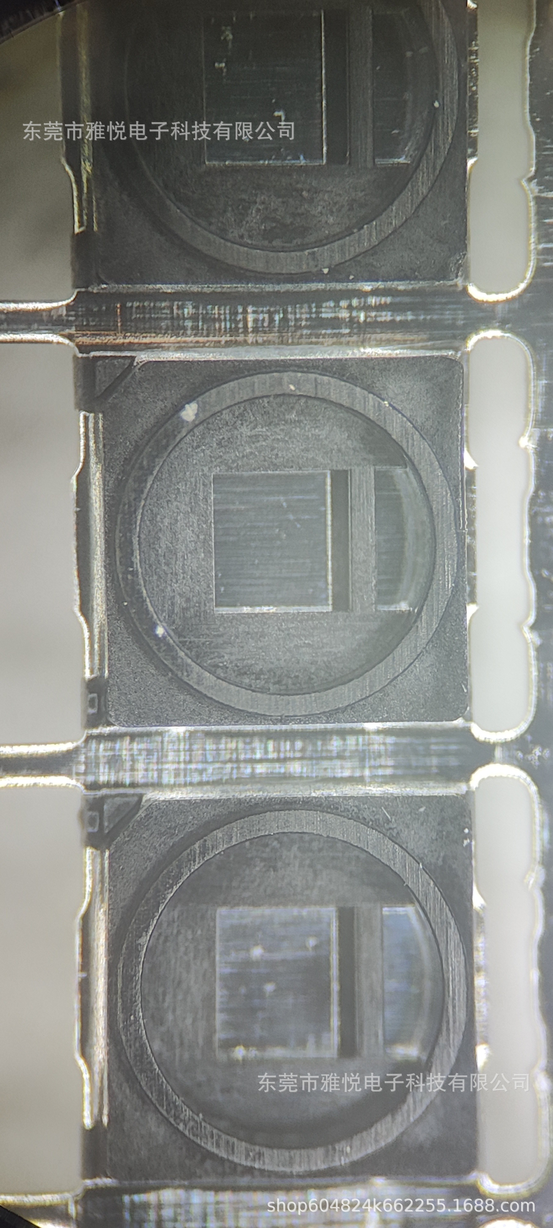 微信图片_20241016174849