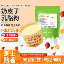 奶皮子乳酪粉芝士酪香原味商用奶皮子自制手工酸奶酪固体酸奶粉