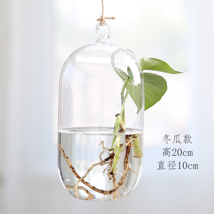 Creativo colgante pecera hidropónico de cristal botella decoraciones la boda artesanías caseras creativas