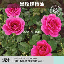 进口黑玫瑰精油芳疗香薰面部精华护肤美容院保湿扩香身体批发按摩