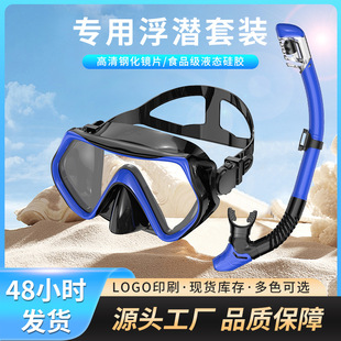 Cross-border dedicated outdoor water sports products professional free diving glasses breathing tube two-piece snorkeling suit