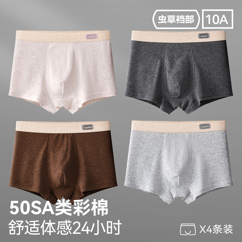 96027-그레이 퍼플+잉크 그레이+다크 커피+포그 그레이