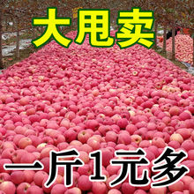 陕西脆甜高原红富士苹果当季新鲜水果3斤5斤10斤整箱冰糖心丑苹果