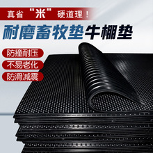 �����|���z�|ţ��|���i���؉|�i��؉|ţ��|�������z��