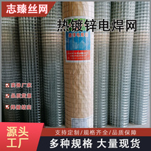 厂家定制养殖热镀锌电焊铁丝网 粉刷内外墙保温网工地钢丝防护网