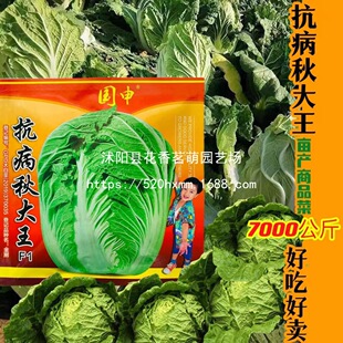 �ײ˸������s��̖������������u87-117��Ʒ��ײ��S�Ĵ�ײ˷N��