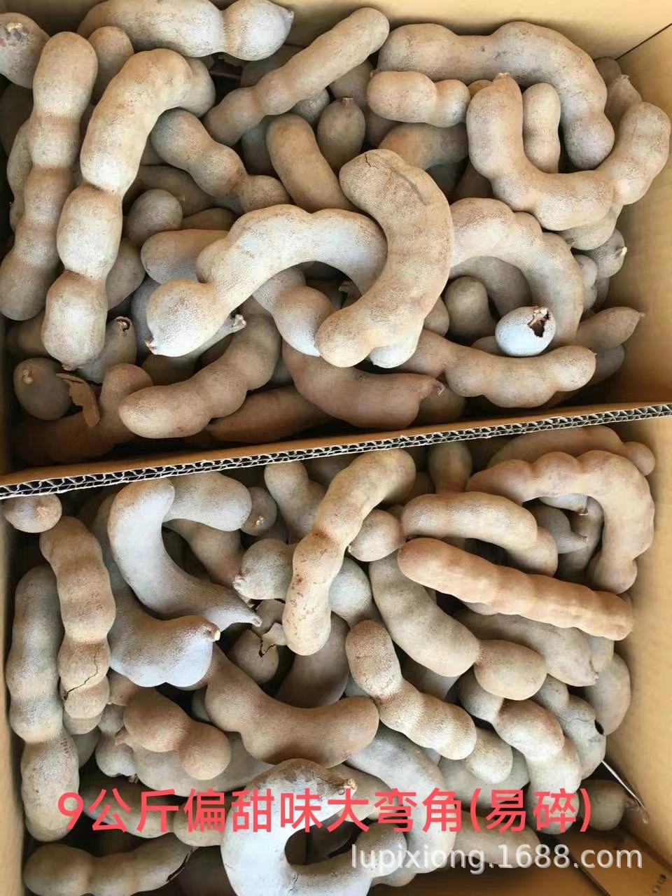 微信图片_20230710094848