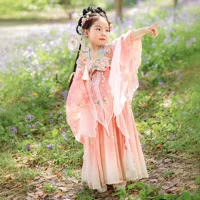 Весенний и осенний новый стиль девушки Hanfu девушка китайский стиль костюм цветок бог повседневное платье детская старинная юбка оптом