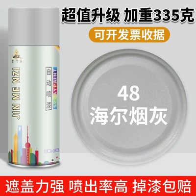 Avtomobil boya qələmləri — matte black-gray dark gray paint - one-bottle-large-size-48-haier-ashtray450ml