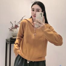 �p���ᘿ��_�� 2025�＾�¿� �OӋ�Еr���L�����ë��Ů����9163