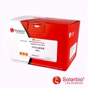 G2380 ATPase染色试剂盒(钙钴法) 染色试剂 科研用