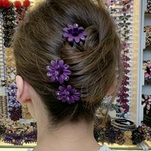 ����һ�M�p�ݾջ�Сץ�A�ݿ�荄����A���|�A���^��X����l�A