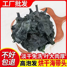 海带;海藻类;紫菜