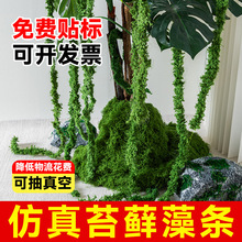 ����̦�\t�ٗl�쾰����ֲ����l�����[�����P�ړ��̨�҃ȾGֲ�b