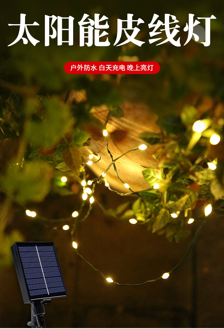 太阳能皮线灯_02.jpg