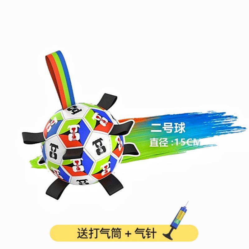 월드컵 모델 2호(직경 15cm)
