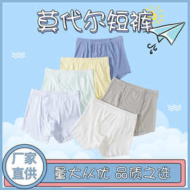 新款儿童莫代尔短裤 童装平角裤内裤 莫代尔面料宝宝短裤内裤批发