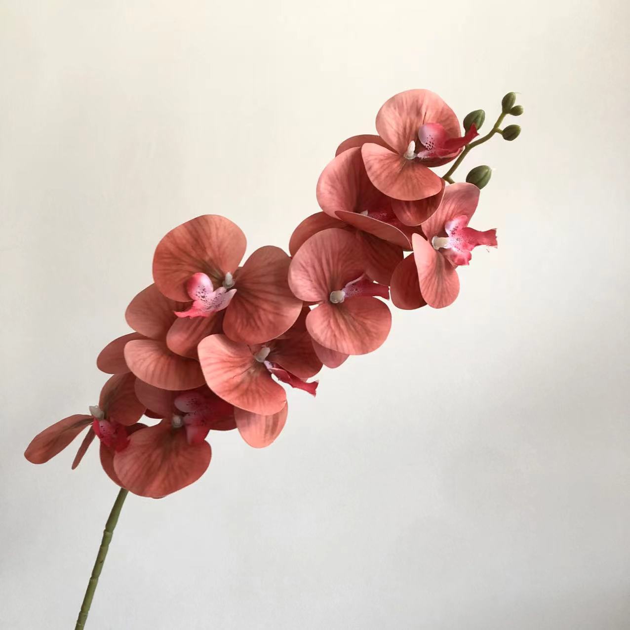 오렌지 핑크