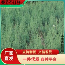 ؘ̰籱uشɘ玧еGɰؘصذ