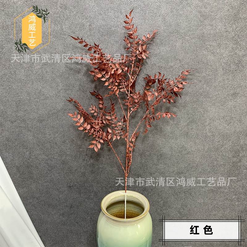 红色_副本.jpg