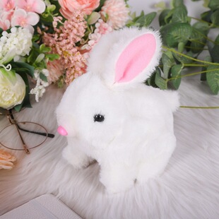 늄�С�������ë�q���ӿɐە��Е���Ťƨ�ɷ���ë�q�ͻС����