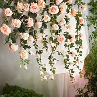 ���l�b��û�Y�ٻ����滨 ������ɫ��cõ�廨�ٗl���滨��