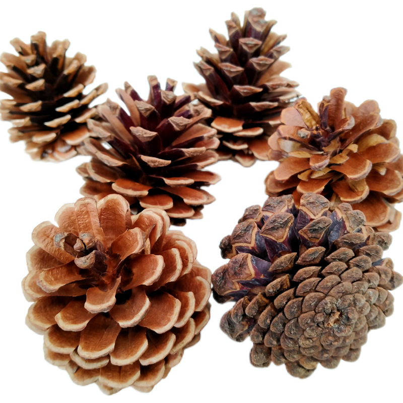 d8433276-a31e-11eb-90aa-0a580a