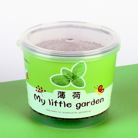 Niños plantan pequeños jardines de infantes fresas plantas de mesa mini caja ciega diy verde juguetes puestos al por mayor image 21