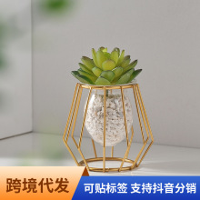 轻奢家居创意水培花瓶摆件办公室桌面绿萝水养植物容器餐桌装饰品