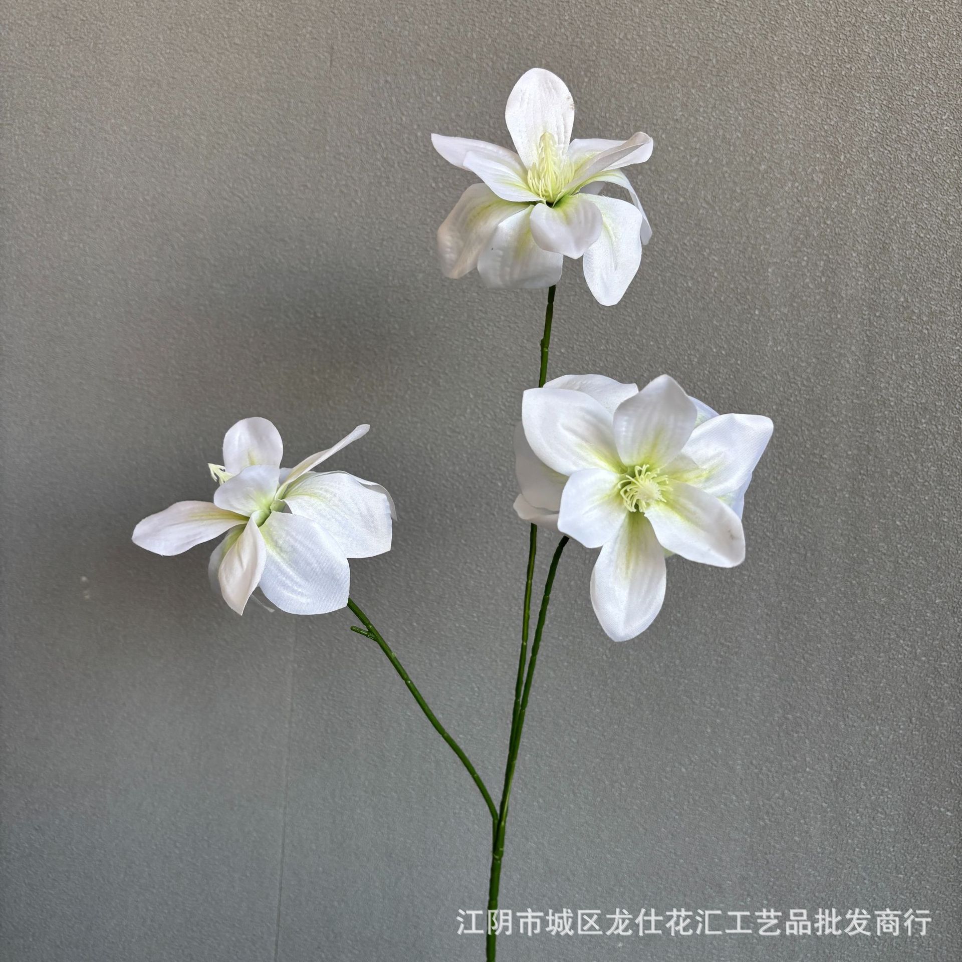 겹겹이 피는 목련