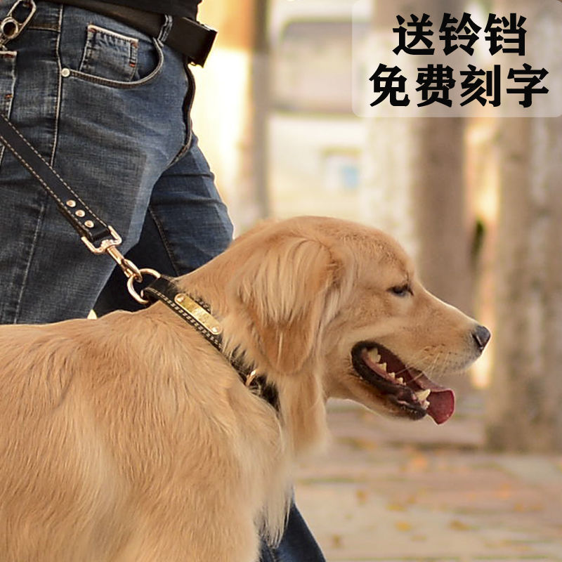 狗圈脖圈牛皮狗狗项圈刻字大中小型犬牵引绳结实狗绳子猫铃铛|undefined