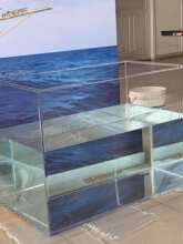 ������ˮ��늳،��ˮ�׌WУ������Ĕz͸��ˮ����ˮ������ˮ��