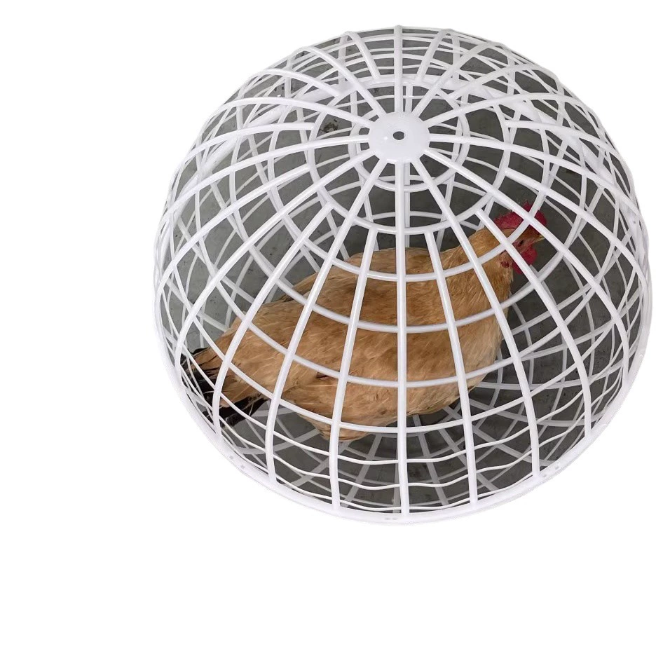 Пластиковая сферическая клетка для курицы, круглая клетка для кроликов, живописное место фермы, клетка для движущейся курицы со знаменитостями в Интернете, культивирование защитной клетки с подвижной
