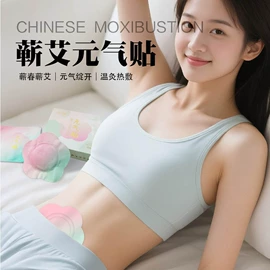 艾灸/艾草/艾条/艾制品;保健器具配件;保健护具