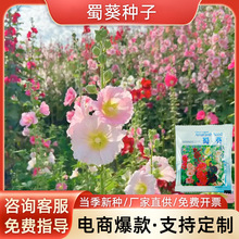 NӶһɼtNӴذNļ׷Nͺ