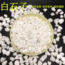白色石子颗粒园林铺路庭院铺面鱼缸盆栽造景6-5mm白色鹅卵石