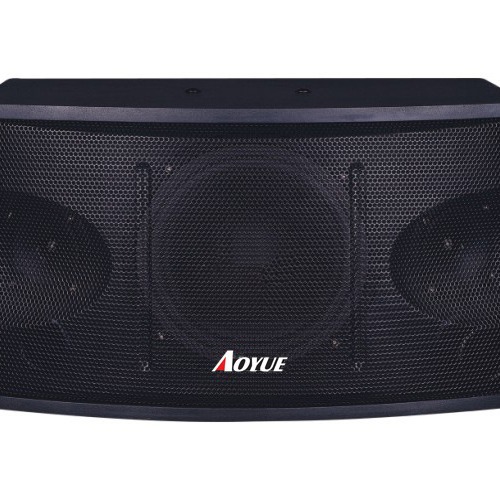 Ventas directas de fábrica SK-10 10 pulgadas hogar KTV titular de la tarjeta altavoz karaoke altavoz Conferencia bar audio