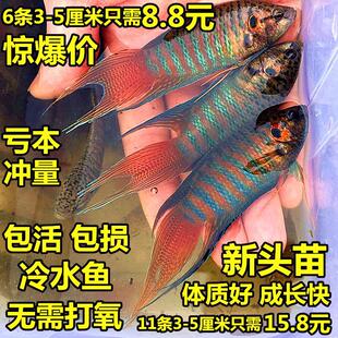 �Ї����~���w���~��ˮ��ˮ�^�p�~���B���B���~С���~�����ղ涷�~