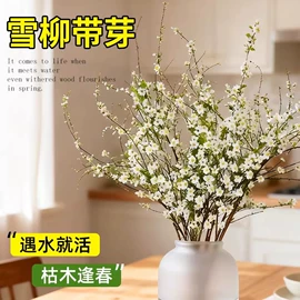 栽培基质;园艺工具;营养液