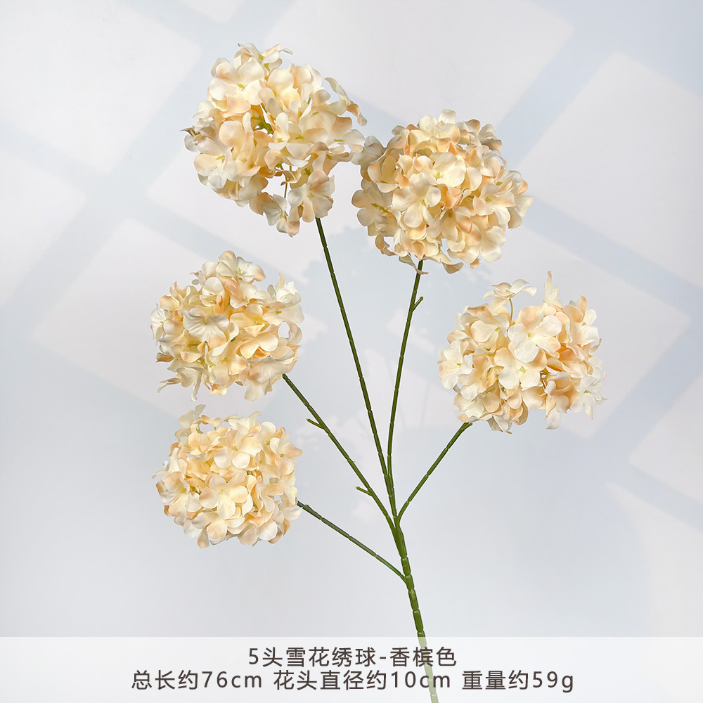 HXX-5头雪花绣球-香槟