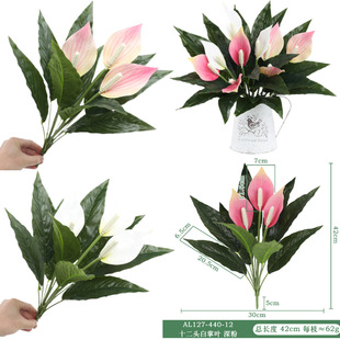 �羳���N���滨�t���~�Ҿ��b[������Gֲ��Y�û������������l