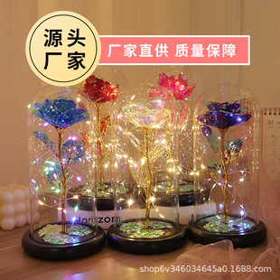 ����õ�廨����������Ϧ���˹��Y��ؔ�����Y�����l�𲭻�����