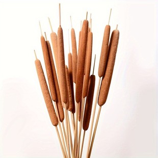 �Ѱ���Ȼ�ɻ�֦ˮϞ�T�ӼҲ�����׻�ƿ�廨��ˇ�͹��b��u��ˇ