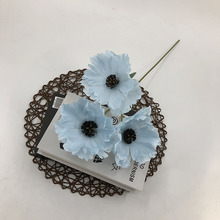 3^ڻ ̖˻cĔzoYô󟟻