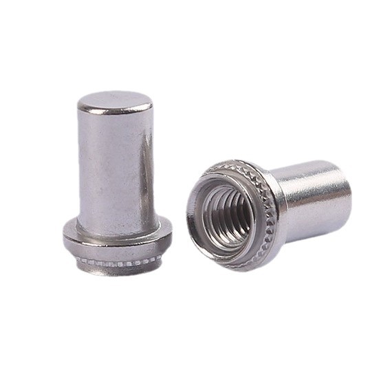 304 / 316 tuerca de acero inoxidable a prueba de agua BS / BS4 / BSS-M3M8 hierro inoxidable sellado rosca de tuerca de remachado