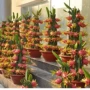 南方种植四季盆栽阳台