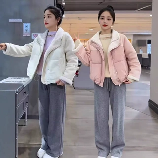 设计感羊羔毛拼接短外套女2024年冬季立领今年流行皮毛一体棉服